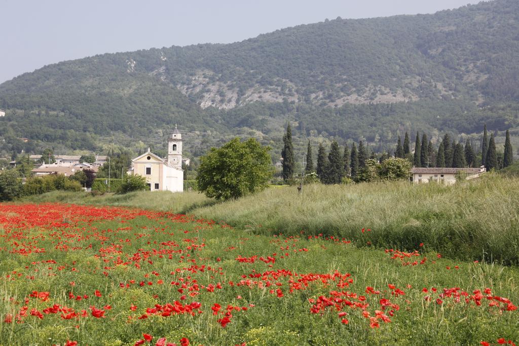 Agriturismo Corte Dei Fiori 卡普里诺韦罗内塞 外观 照片