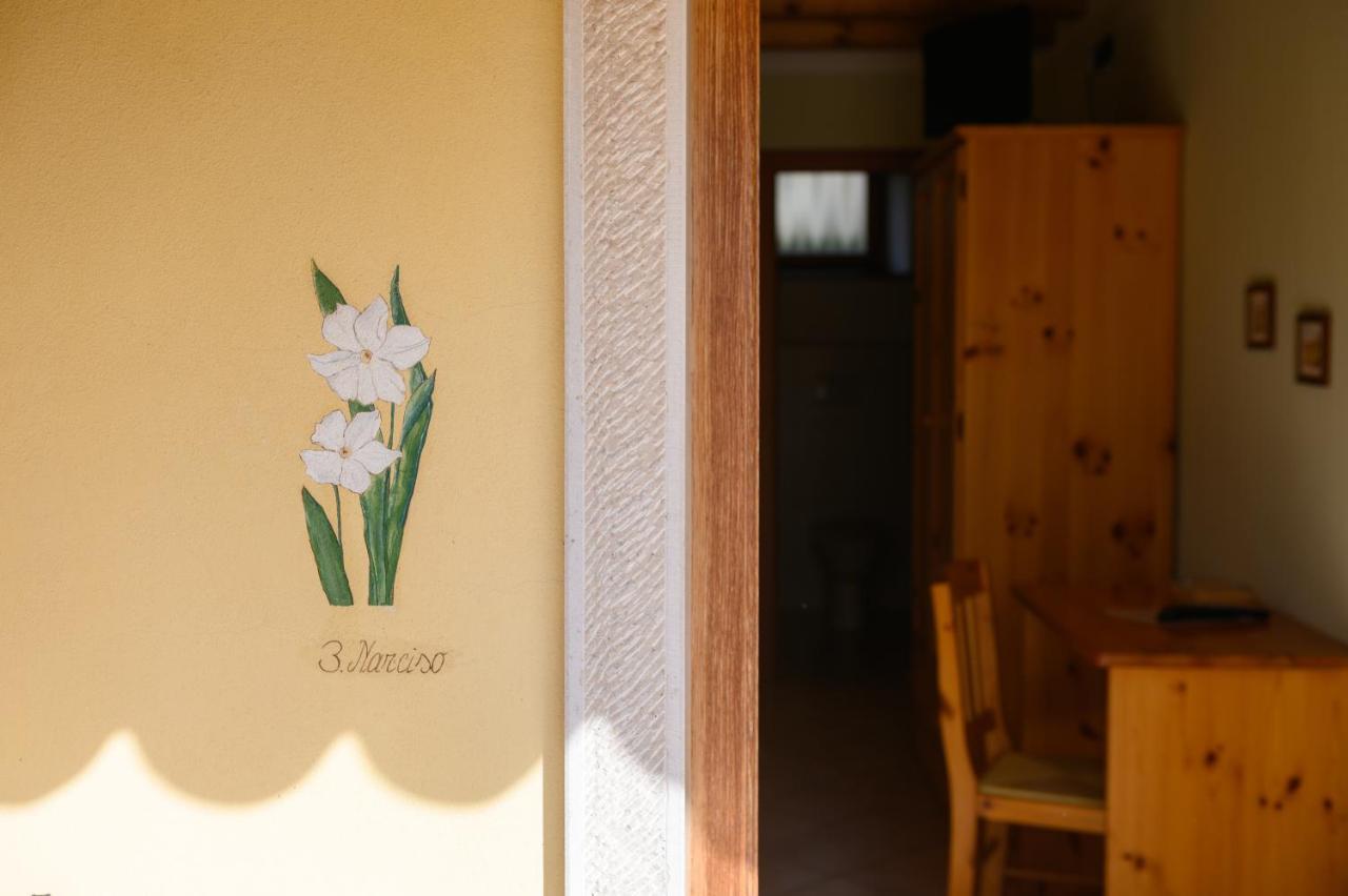 Agriturismo Corte Dei Fiori 卡普里诺韦罗内塞 外观 照片
